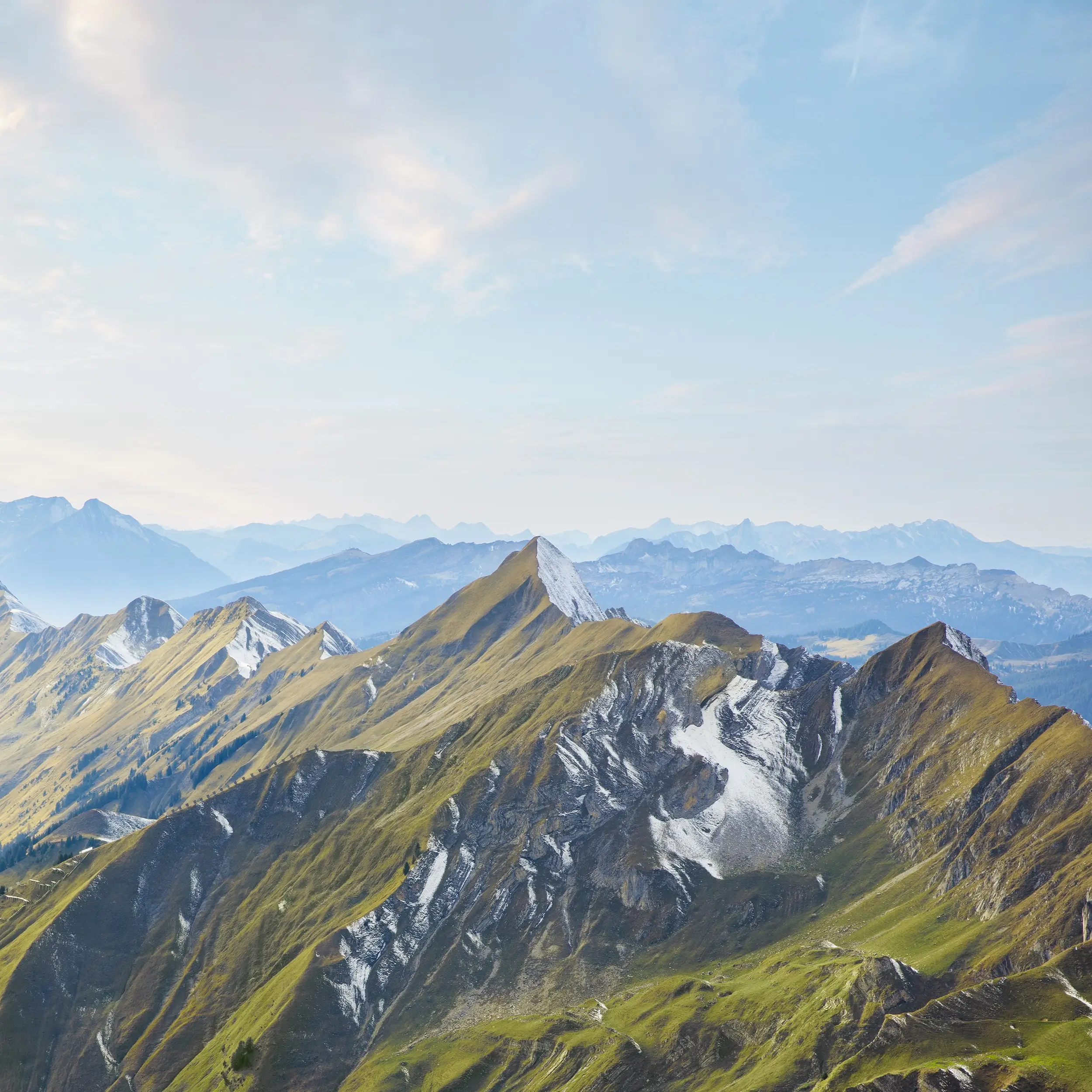 Berg
